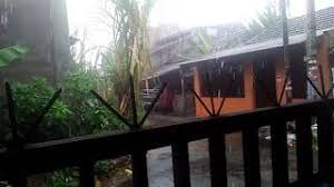 By tom durgan may 02, 2021 post a comment Monyet Pakai Jas Hujan Viral Video Youtube