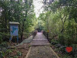 Rent a whole home for your next weekend or. Kota Kinabalu City Wetland Centre Likas Sabah Malaysia Bombastic Borneo