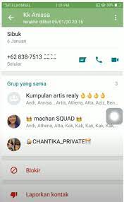 Namun di luar sana banyak sekali informasi hoax dan palsu yang memberikan nomor hp atau nomor wa dengan mengatasnamakan baim wong. Nomor Wa Annisa Aurelia Kaila Dan Biografi Lengkapnya Gimana Net