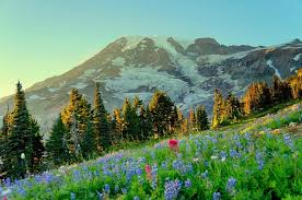 Paradise, WA: All You Must Know Before You Go (2026 ...