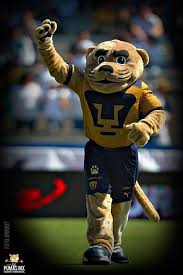 Bienvenidos a esta nueva cuenta de twitter recibe toda la informacion de nuestros pumas al momento!. 14 Puma Unam Ideas Pumas Mexican Soccer League Soccer Tshirts