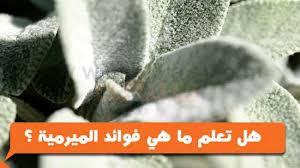 تصبح الحياة بلا معنى لو حقق فيها المرء كل مراميه.ولذا تبقى الجنة للمؤمن غايه امانيه. Ø§Ù†ÙØµØ§Ù„ Ø§Ù„Ø¹Ø¨Ù‚Ø±ÙŠ Ø¸Ù„ Ù…Ø±Ø§Ù…ÙŠØ© Ù„Ù„Ø±Ø¬Ø§Ù„ Wisdomways1 Com