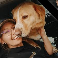 Are mixes allowed in this group?