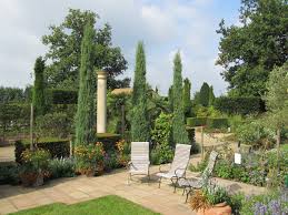 We did not find results for: Blue Pencil Juniper Juniperus Scopulorum Skyrocket Chew Valley Trees