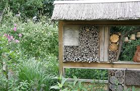 Als lernort der biodiversität und bne hat der ökogarten zu jeder jahreszeit seine reize. Biogarten Und Ideen Fur Die Okologische Und Nachhaltige Gartengestaltung