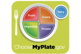 myplate controversy pie chart to cure obesity mike