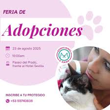 Sociedad protectora de animales en Cuba
