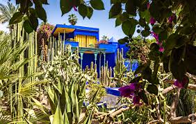 Le jardin majorelle, marrakech (marrakesh, morocco). Visiter Le Jardin Majorelle A Marrakech Wild Birds Collective