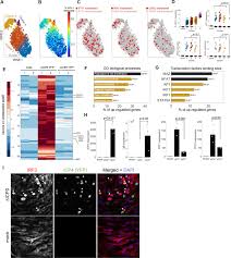 Both types of hsv can infect both the mouth and the genitals. Hsv 1 Single Cell Analysis Reveals The Activation Of Anti Viral And Developmental Programs In Distinct Sub Populations Elife