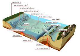 Earth Geology Ocean Floor Image Visual Dictionary Online Earth And Space Science Geology Ocean