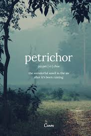Petrichor The Wonderful Smell In The Air After It S Been Raining Design Wordoftheday Unusual Words Beautiful Words In English Weird Words