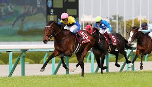 【公式サイト限定】 素直になれない恋人たち 4th season 橘聖人ブロマイドセット. é˜ªç¥žå¤§è³žå…¸2021 å‡ºèµ°äºˆå®šé¦¬ äºˆæƒ³ã‚ªãƒƒã‚º äººæ°—é¦¬è¦‹è§£ ï½†å¼ç«¶é¦¬