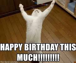 Check spelling or type a new query. 45 Funny Happy Birthday Meme Harvest Thrifty Nifty Mommy