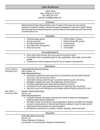 sales representative resume examples