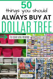 The Best Things To Buy At The Dollar Tree And What To Avoid Best Money Saving Tips Budgeting Money Money Saving Tips