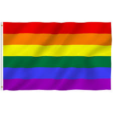 Anley 3 x 5 feet Rainbow Pride Flags - Gay LGBT Pride Day Month Parade  LGBTQ Community Banner Flags - Walmart.com