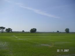 Best kota kuala muda, kuala muda district hotel specials & deals. Kota Kuala Muda 08500 Kota Kuala Muda Kedah Malaysia Mapio Net