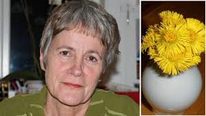 Som ei sol som går opp inn i meg