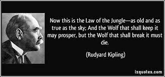 Quotes About The Jungle Quotesgram