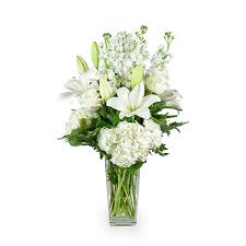 Obituary for Fred Manno