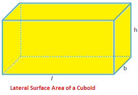 We did not find results for: Volume And Surface Area Of Cuboid Lateral Surface Area Of A Cuboid