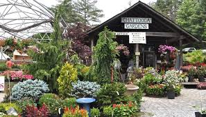 Chattooga Gardens Highlands Cashiers Nc Garden Center Garden Center Garden Plants