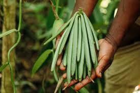 We're here to answer your prospective undergraduate student questions, and to help you complete your application to ubc. Firmenich World S Largest Privately Owned Fragrance And Taste Company