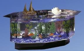 Octagon Aquarium Couchtisch