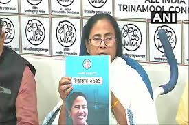 Creditcard.com.au ranks 9 student credit cards with 0% and low interest based on your spending habits. West Bengal Elections 2021 Mamata Releases Tmc Manifesto Promises Income For All Families Student Credit Card The Financial Express