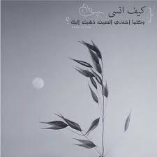 pin by woman r on احكي عربي arabic words arabic quotes best quotes