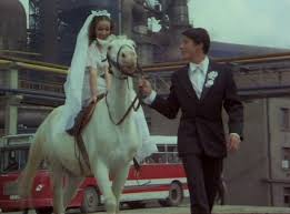 În şase luni de zile au fost prinşi 12 dintre cei 15 membri ai în august 2013, la 50 de ani de la marele jaf din tren și când el împlinea 84 de ani, ronnie biggs a spus: Mireasa Din Tren Cinemaraton