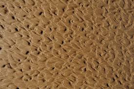 900 x 596 jpeg 346 кб. Abstract Line Designed Water Sand Texture Beach Sand Background Piqsels