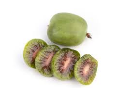 Image result for foto minikiwi