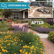 They do gorgeous green roofs. Customer Garden A Drought Resistant Garden From Scratch In Fort Collins Colorado High Country Gardens