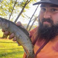 What type of flour is best for creating a sourdough starter?