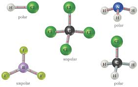 Jeder der einzelnen saurer regen entsteht aus schwefeldioxid, welches bei vulkanausbrüchen oder bei der. Https Www Chemie Uni Hamburg De Studium Dokumente 05 Chemischebindungii Pdf