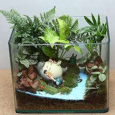 Mini Totoro Garden Ferns Moss House Plants Miniature Fairy Gardens Fairy Garden Designs Succulents Diy