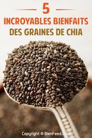 5 Incroyables Bienfaits Des Graines De Chia Graines De Chia Graine De Chia Recette Maigrir Graine De Chia