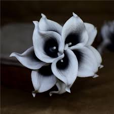 Exoment 25pcs artificial flower foam rose black real touch roses flower heads with stem for diy wedding bouquets centerpieces arrangements party baby shower home decor (25, black) 4.8 out of 5 stars 2,001. Black Picasso Calla Lilies Real Touch Flowers For Silk Wedding Bouquets Artificial Calla Lily Artificial Flowers Home Decoration Touch Flower Real Touch Flowersreal Touch Calla Aliexpress