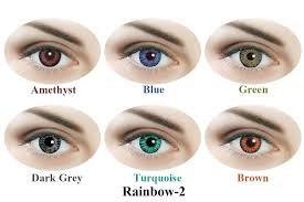 The inhabitants are called lensois ( pronounced lɑ̃swa ). Buy Sparkle Contact Lens 12 Units Rainbow2 Online At Low Prices In India Amazon In