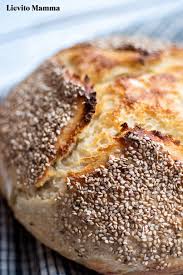 Maybe you would like to learn more about one of these? Pane Di Semolina Hartweizenlaib Lievito Mamma