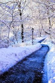 A Winter Dream Winter Scenery Winter Landscape Winter Pictures