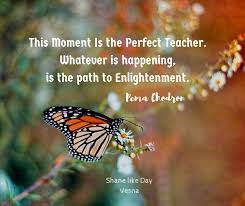  This Moment Is The Perfect Teacher Whatever Is Happening Is The Path To Enlightenment P Chodron Quotes Ve In This Moment Enlightenment Compassion Quotes