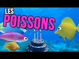 Avec humour ou avec émotion, pour accompagner des chocolats ou un bouquet de fleurs : Les Poissons Joyeux Anniversaire Humour Carte Anniversaire Animee Youtube