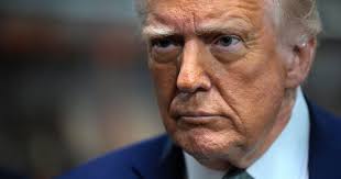 Veronica Schanoes (@schanoes.bsky.social) — Bluesky