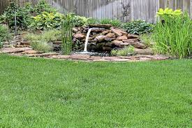 Check spelling or type a new query. Master Gardener Early Fall Is Best Time To Reseed Fescue Lawns Home Garden Tulsaworld Com