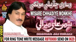 Image result for shaman mirali