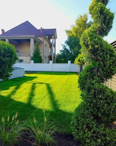 Buruieni tratate cu RootClean™