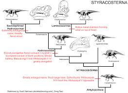 Image result for Osyridicarpos