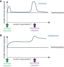 We did not find results for: Innate And Adaptive Immune Memory An Evolutionary Continuum In The Host S Response To Pathogens Sciencedirect